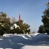 平成30年 福井豪雪で大苦戦②