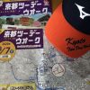 幻の京都ツーデーウォーク