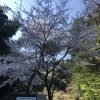 【山レコ】文殊山 二上コース