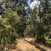 万能で手頃な登山靴がほしいのだ