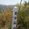 武衛山(越前市) 初挑戦