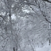 雪の文殊山を歩いた日記