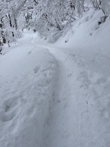 雪の一本道