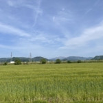 Thumbnail of post image 007