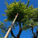 Thumbnail of post image 023