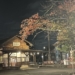 福井鉄道北府駅で電車と駅舎と紅葉