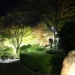 夜の西山公園の紅葉とイルミネーションを撮影