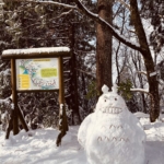 Thumbnail of post image 187