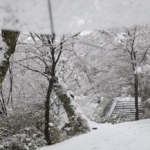 Thumbnail of post image 141