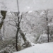 積雪の西山公園をR6 Mark2と散策