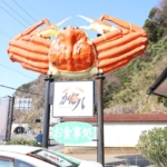 Thumbnail of post image 120