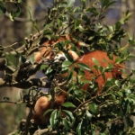 Thumbnail of post image 145