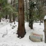 Thumbnail of post image 158