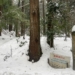 たっぷり雪の文殊山を満喫