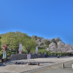 Thumbnail of post image 079