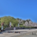 西山公園の桜を満喫 r6mark2